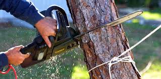 Best Weed Control  in Cypress, CA