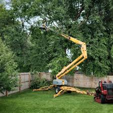 Best Lawn Grading and Leveling  in Cypress, CA