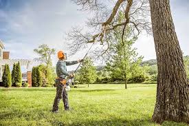 Best Lawn Maintenance Plans  in Cypress, CA